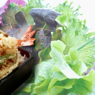 Make Your Life Tasty with US